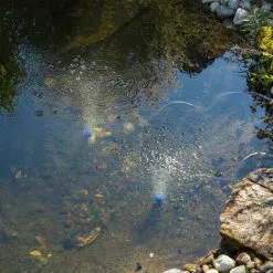 Solar Teichbelüfter 8W 200 L/h Pumpe Teichbelüftung Sauerstoff Esotec 101845 -ESOTEC Geschäft 11775388 3