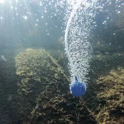 Solar Teichbelüfter 8W 200 L/h Pumpe Teichbelüftung Sauerstoff Esotec 101845 -ESOTEC Geschäft 11775388 5