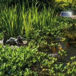 Wasserspeier Frosch + Solar Teichpumpe 8 Watt Wasserspiel Teich Esotec 101650 -ESOTEC Geschäft 20089588 3